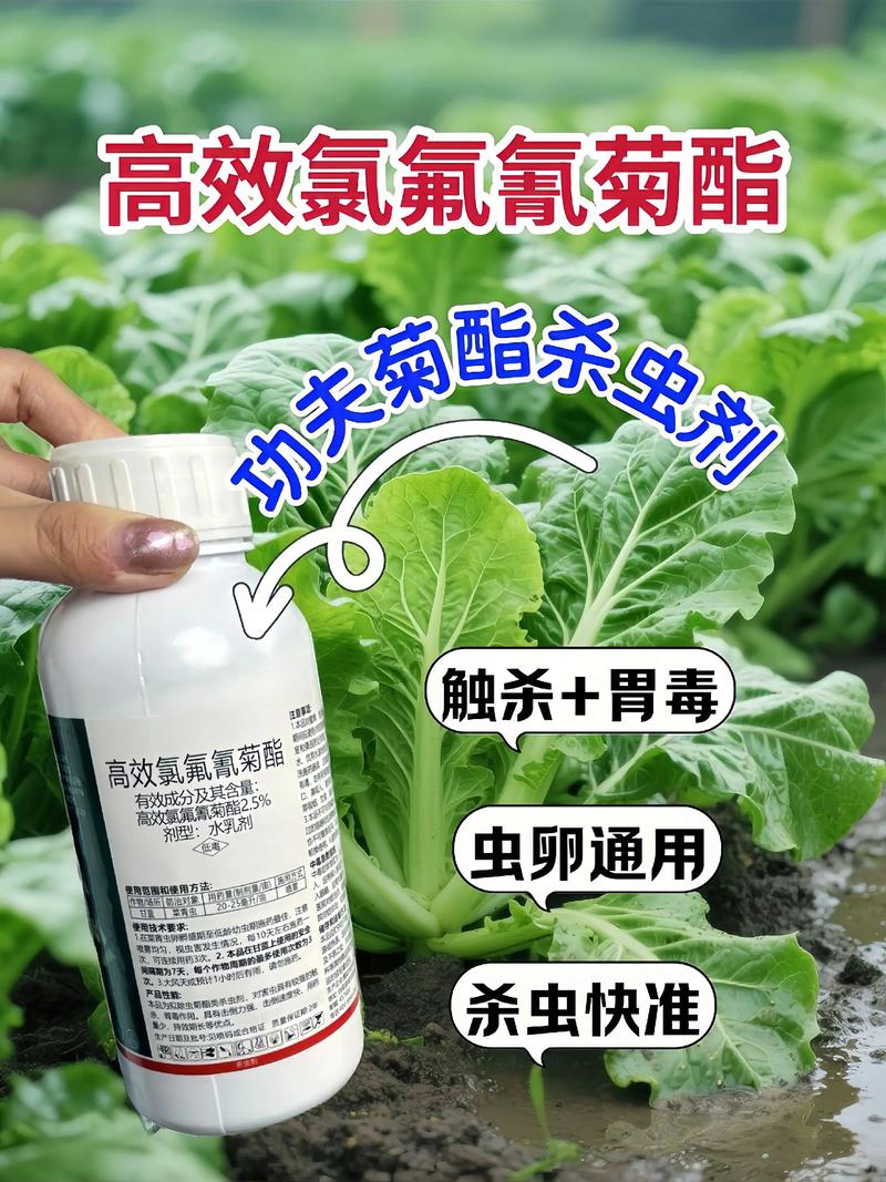 九龙坡代生中心:农药对供卵代生妈妈的危害